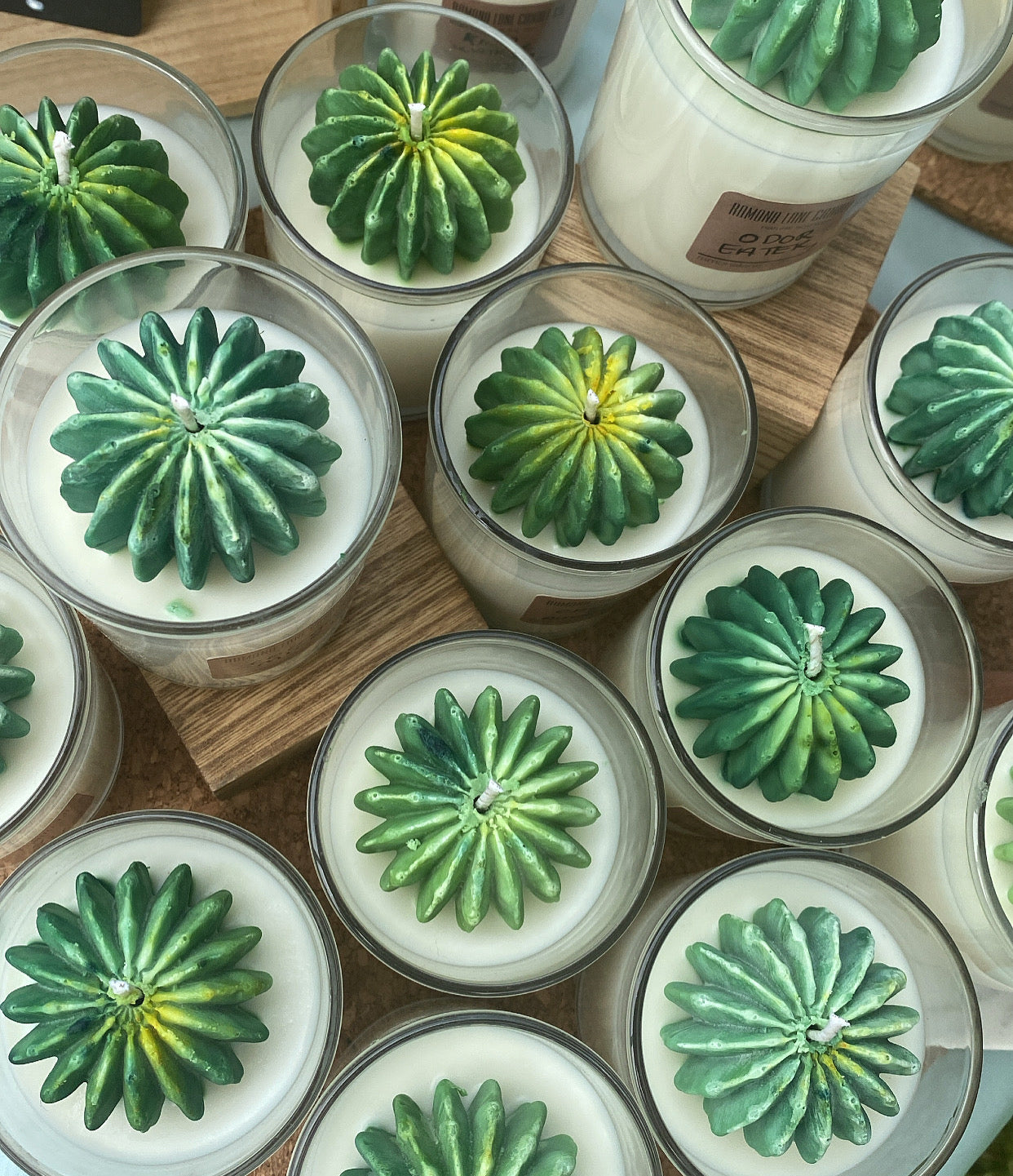 7oz Succulent Tumbler
