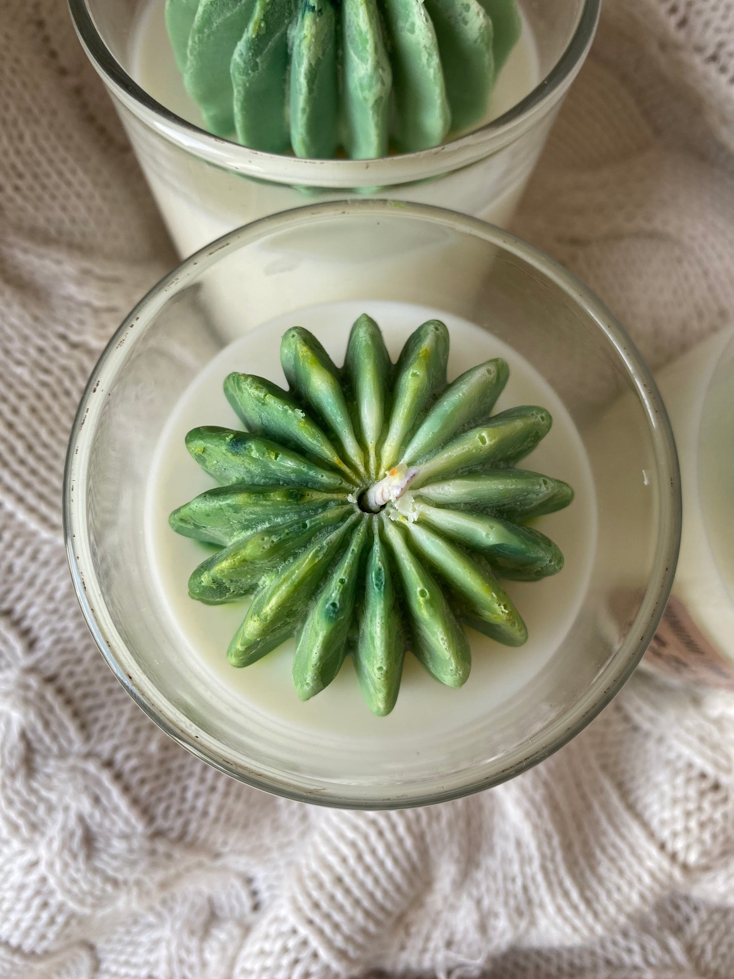 7oz Succulent Tumbler